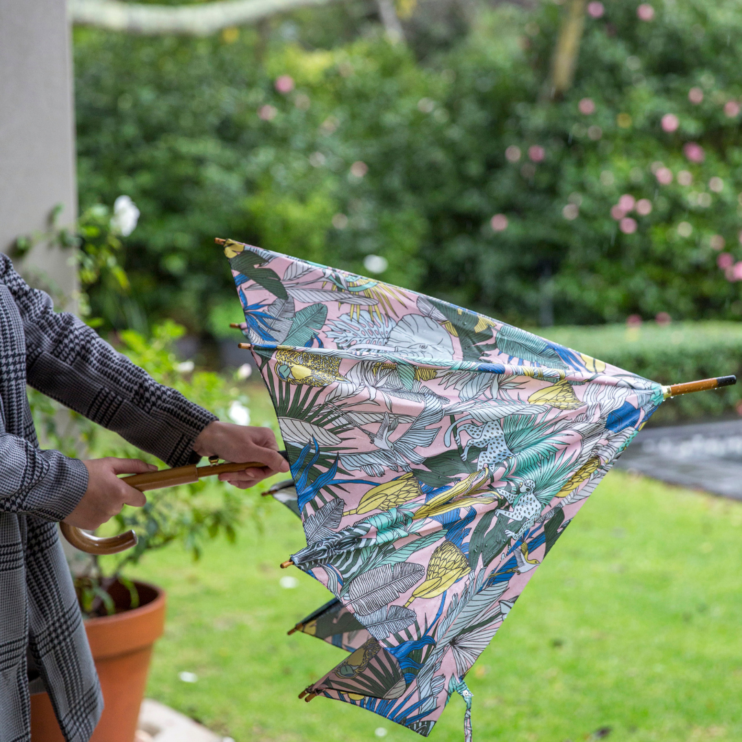 Umbrellas (Rain)