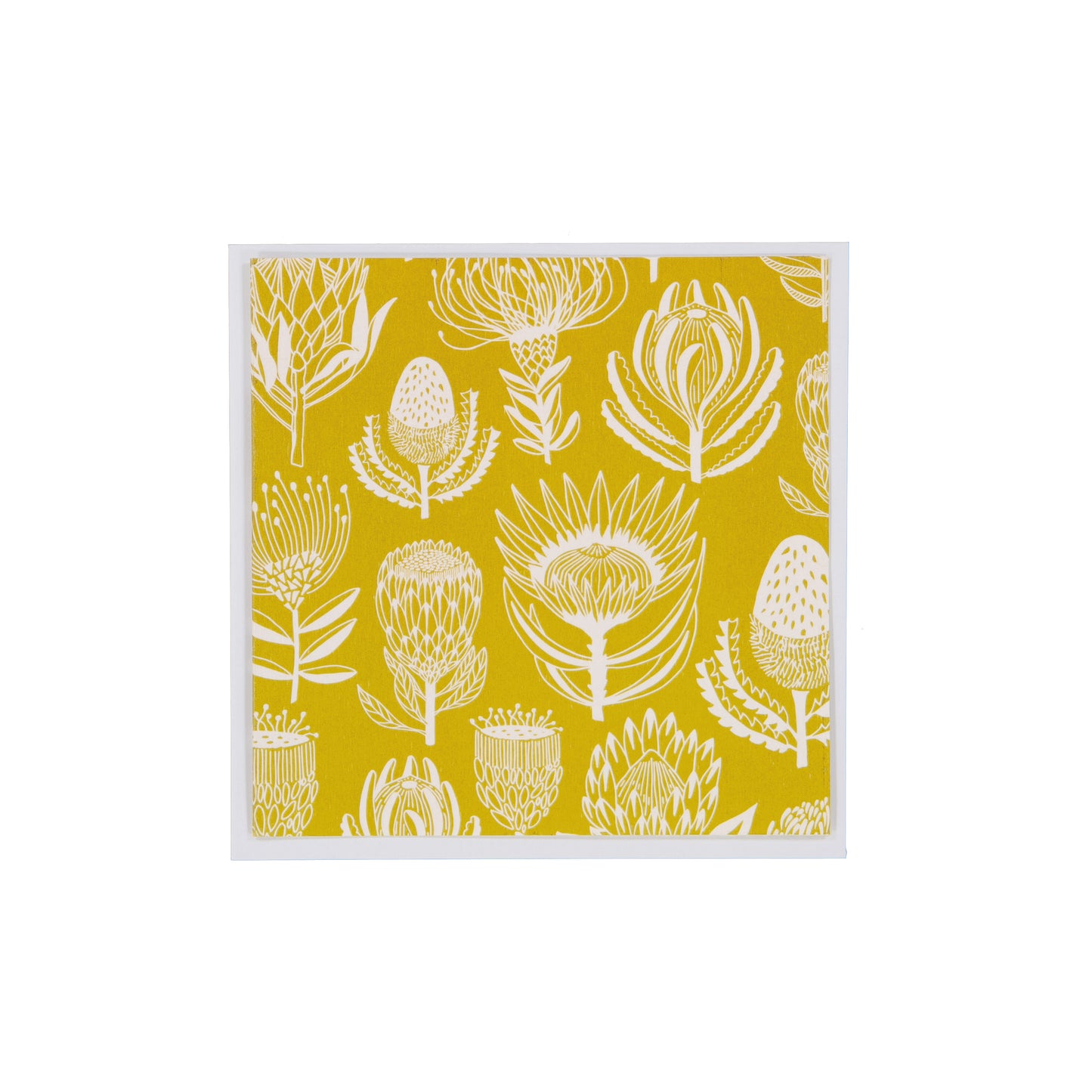 Notecards (Individual)