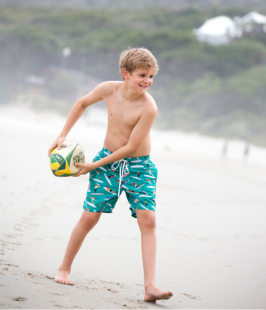 Board Shorts