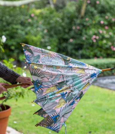 Umbrellas (Rain)