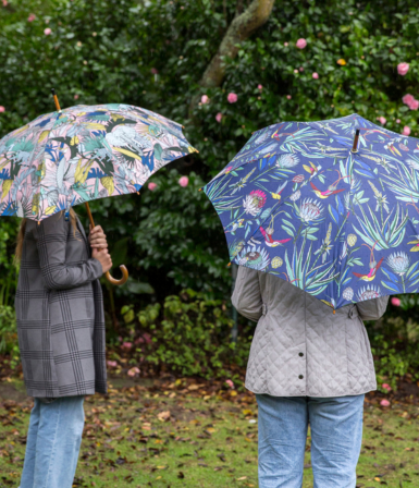 Umbrellas (Rain)