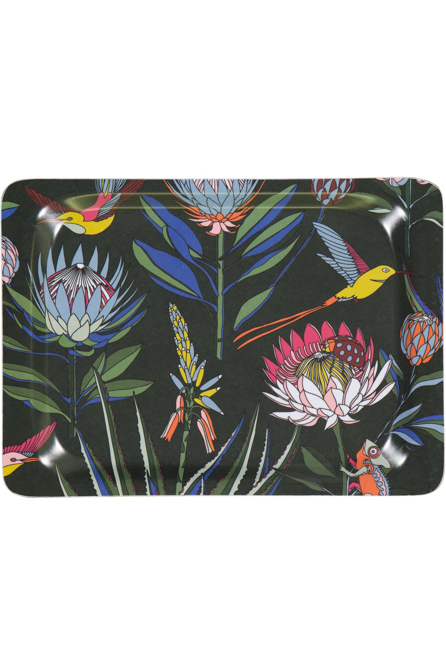 Melamine Trays (Small)