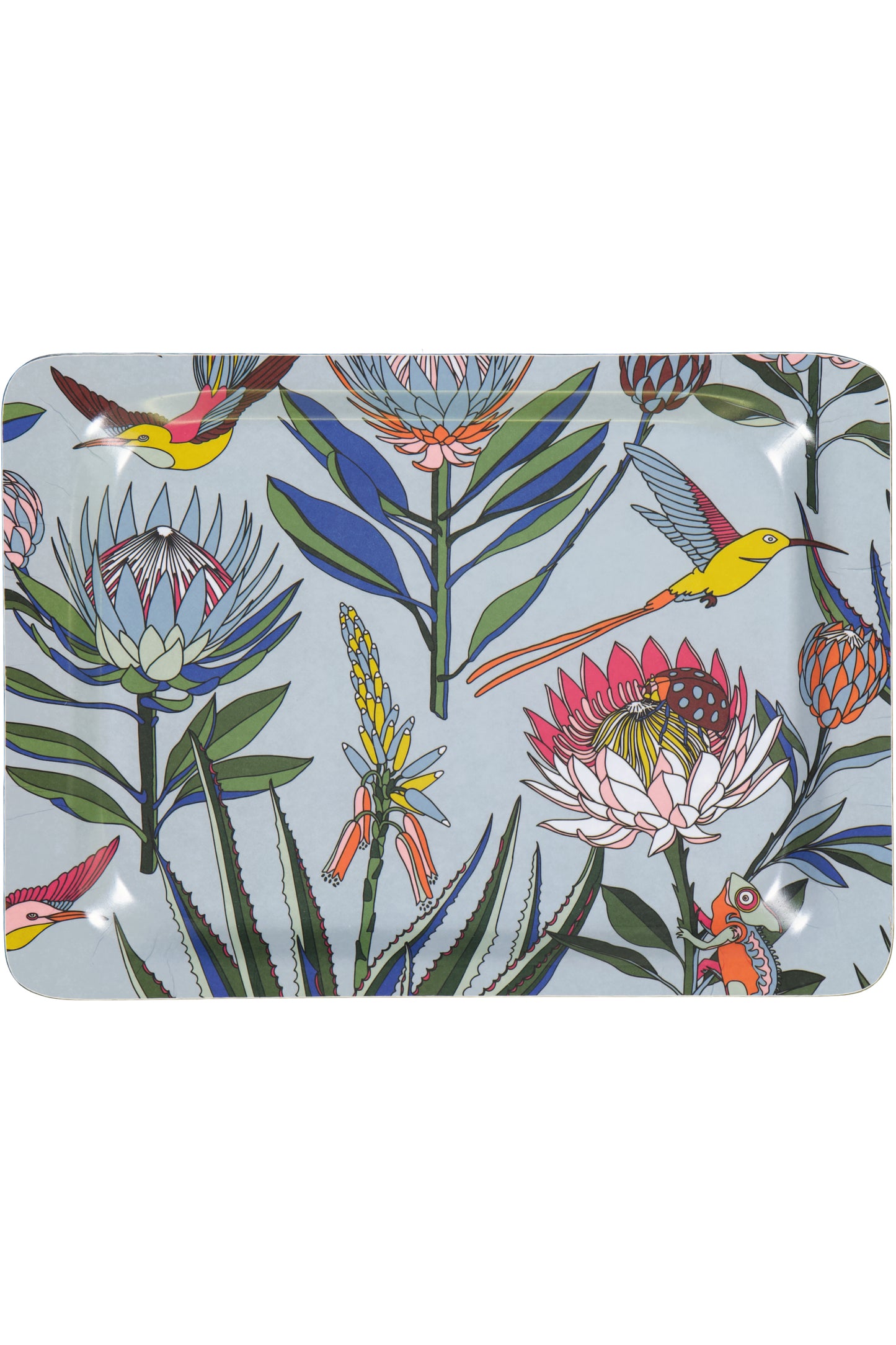 Melamine Trays (Small)