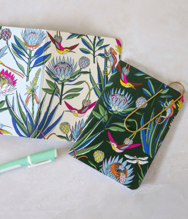 A6 Doodle Books (Blank)