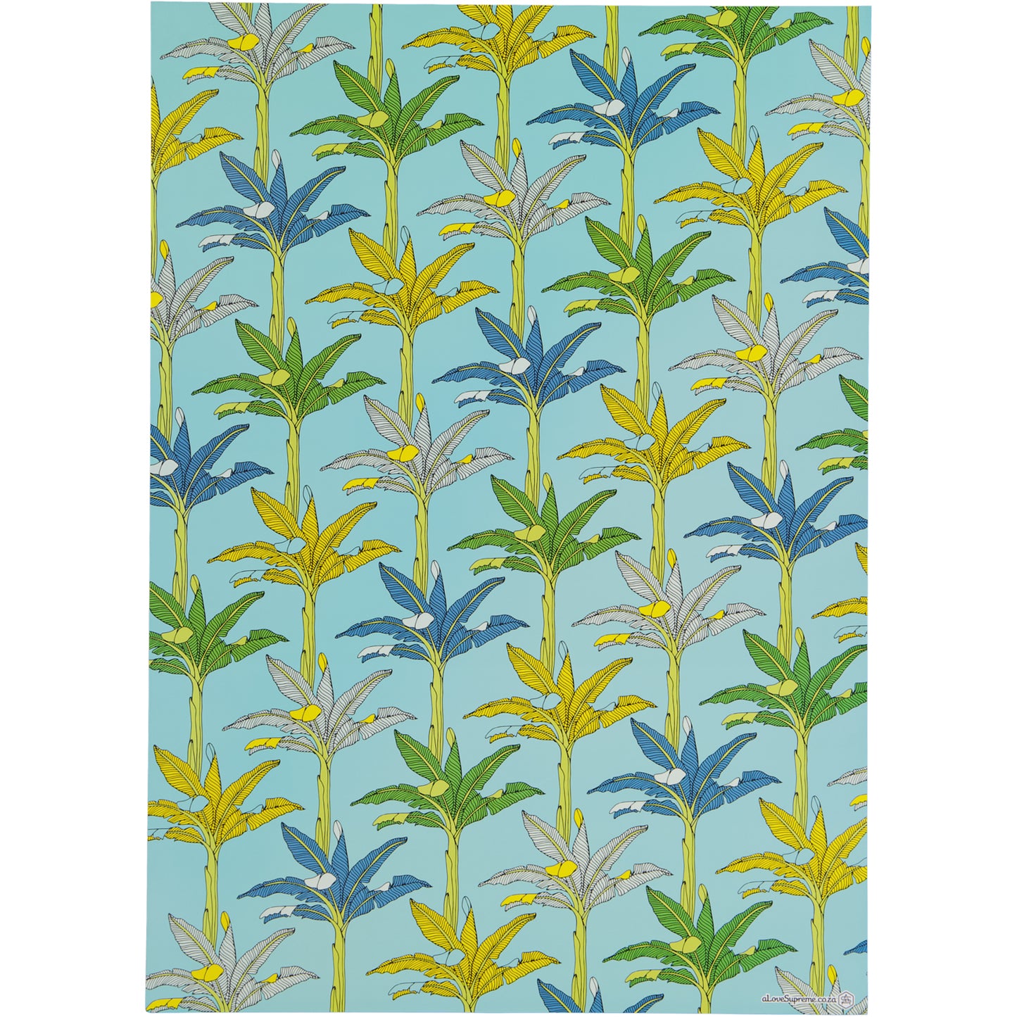Wrapping Paper