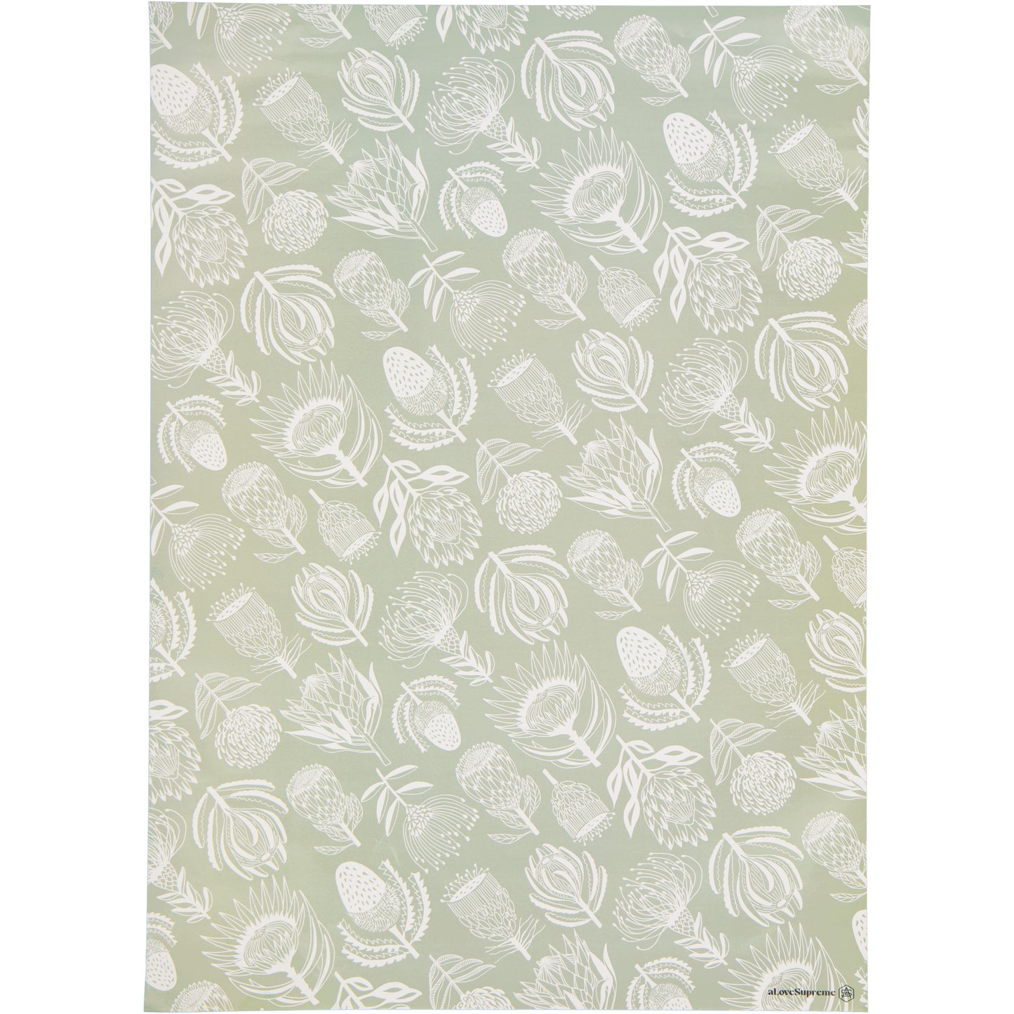 Wrapping Paper