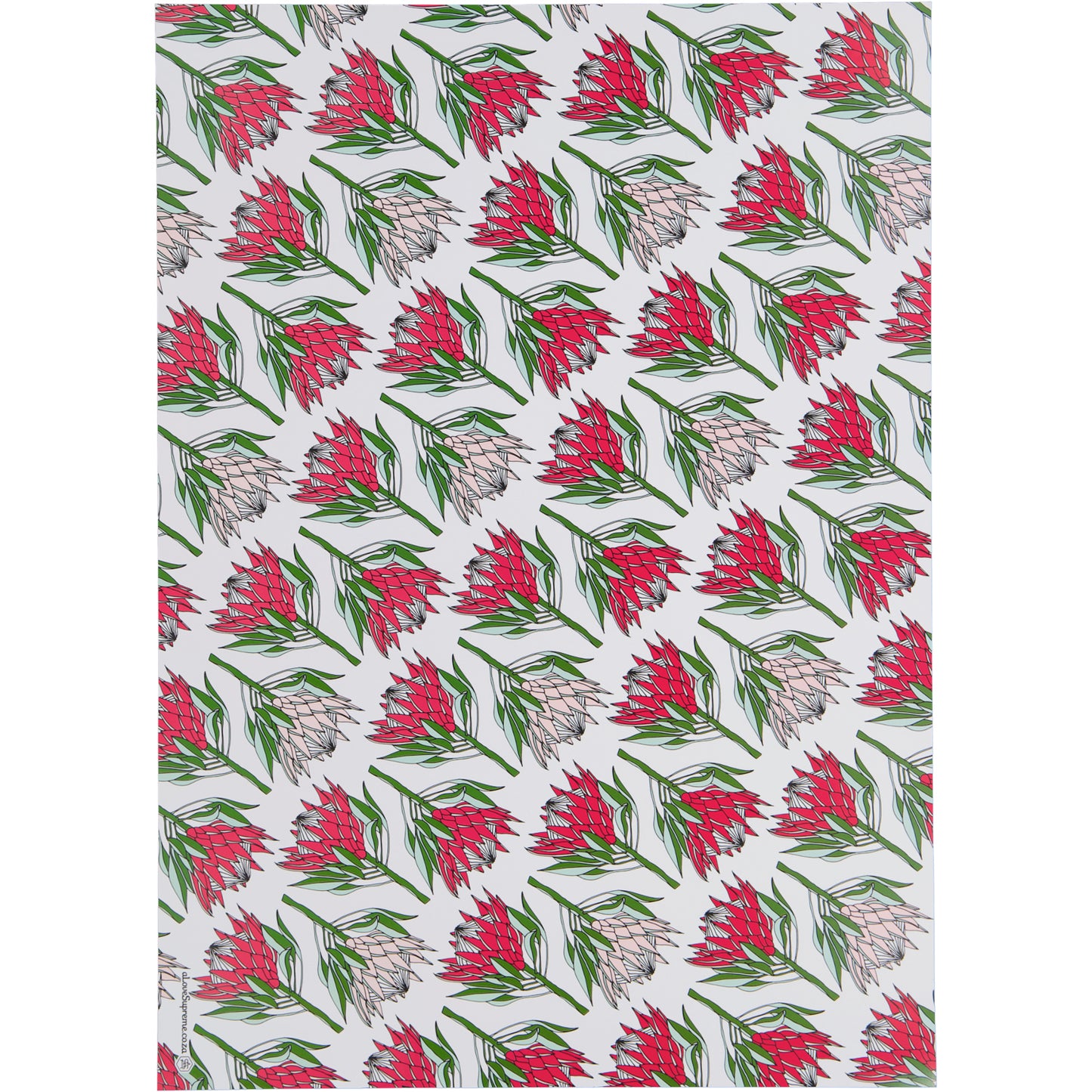 Wrapping Paper