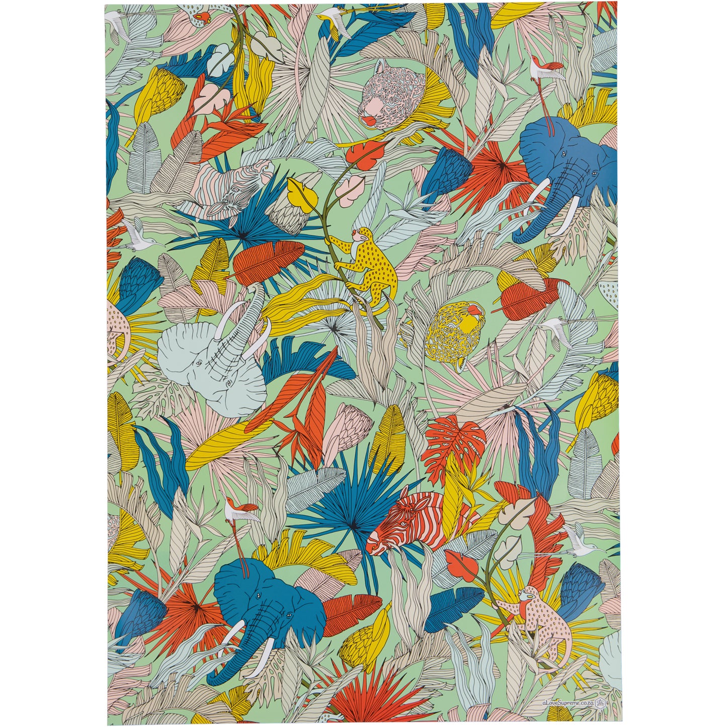 Wrapping Paper