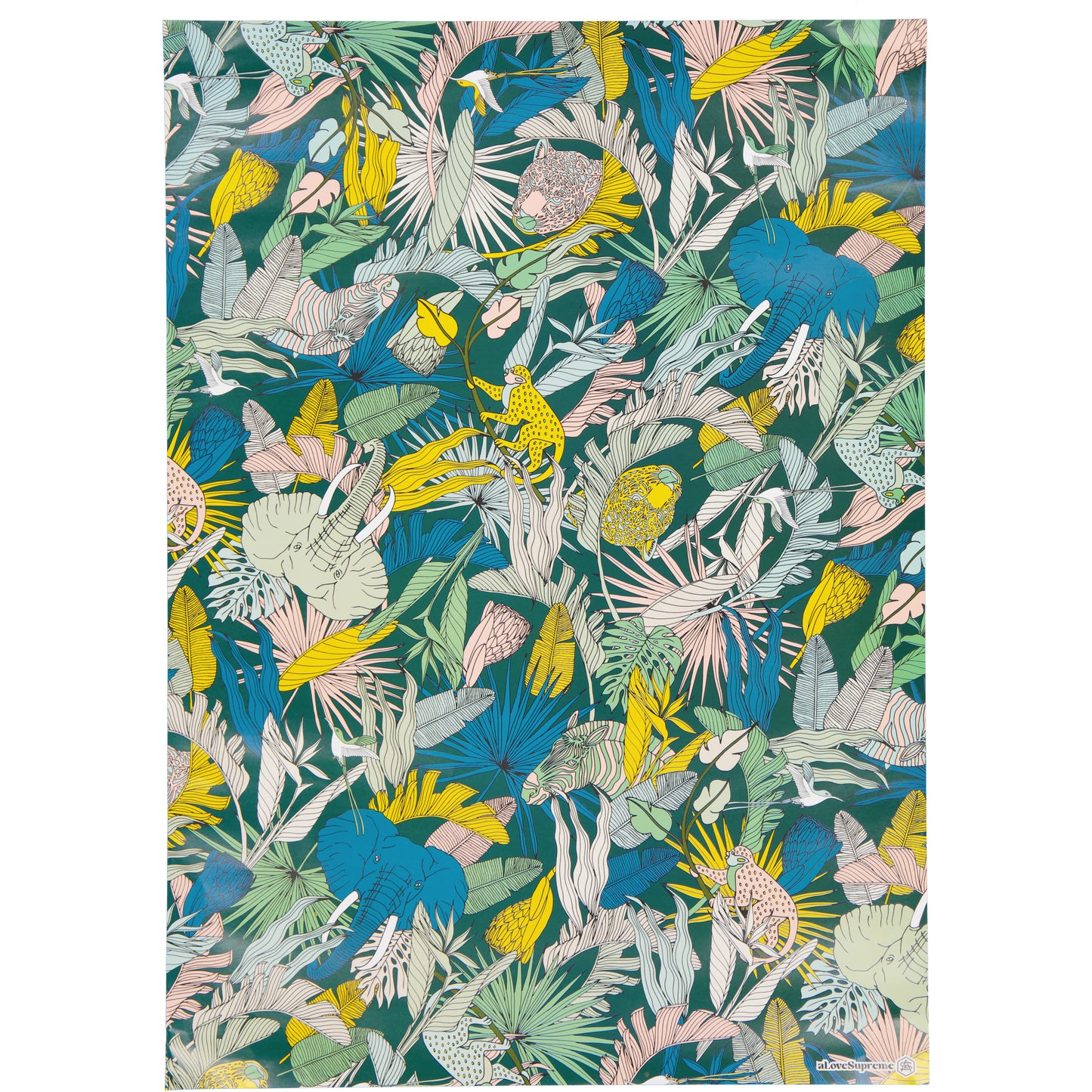Wrapping Paper