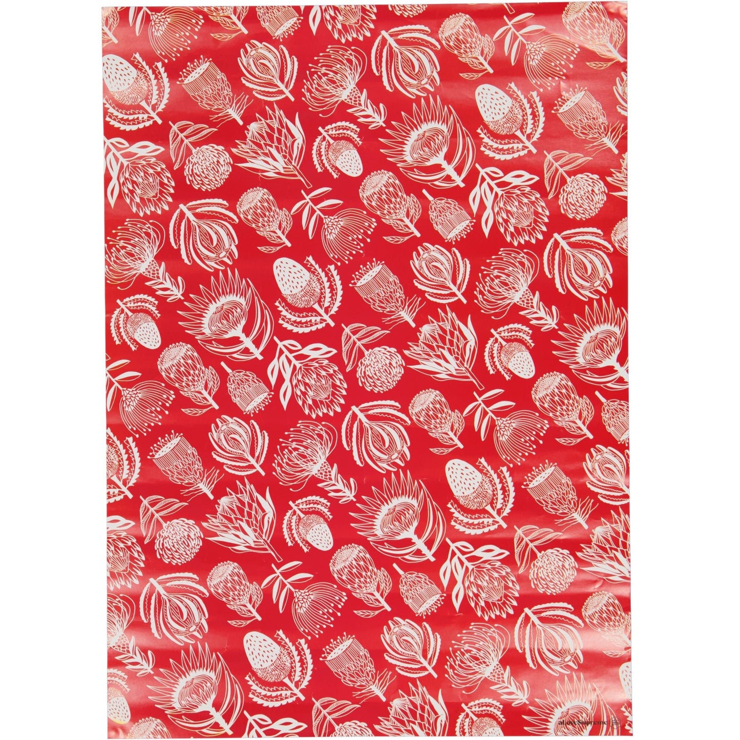 Wrapping Paper