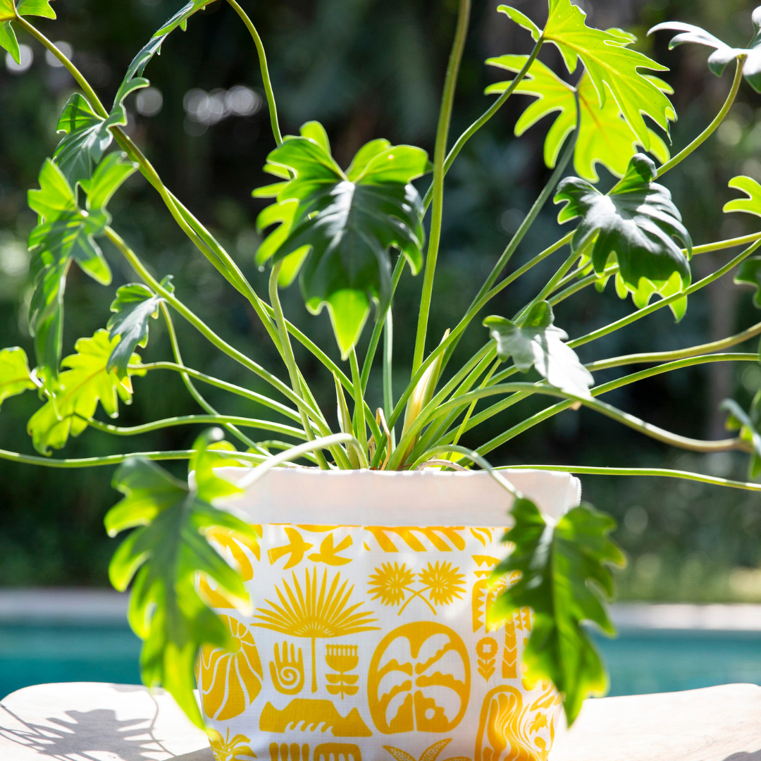 Fabric Pots (Medium)