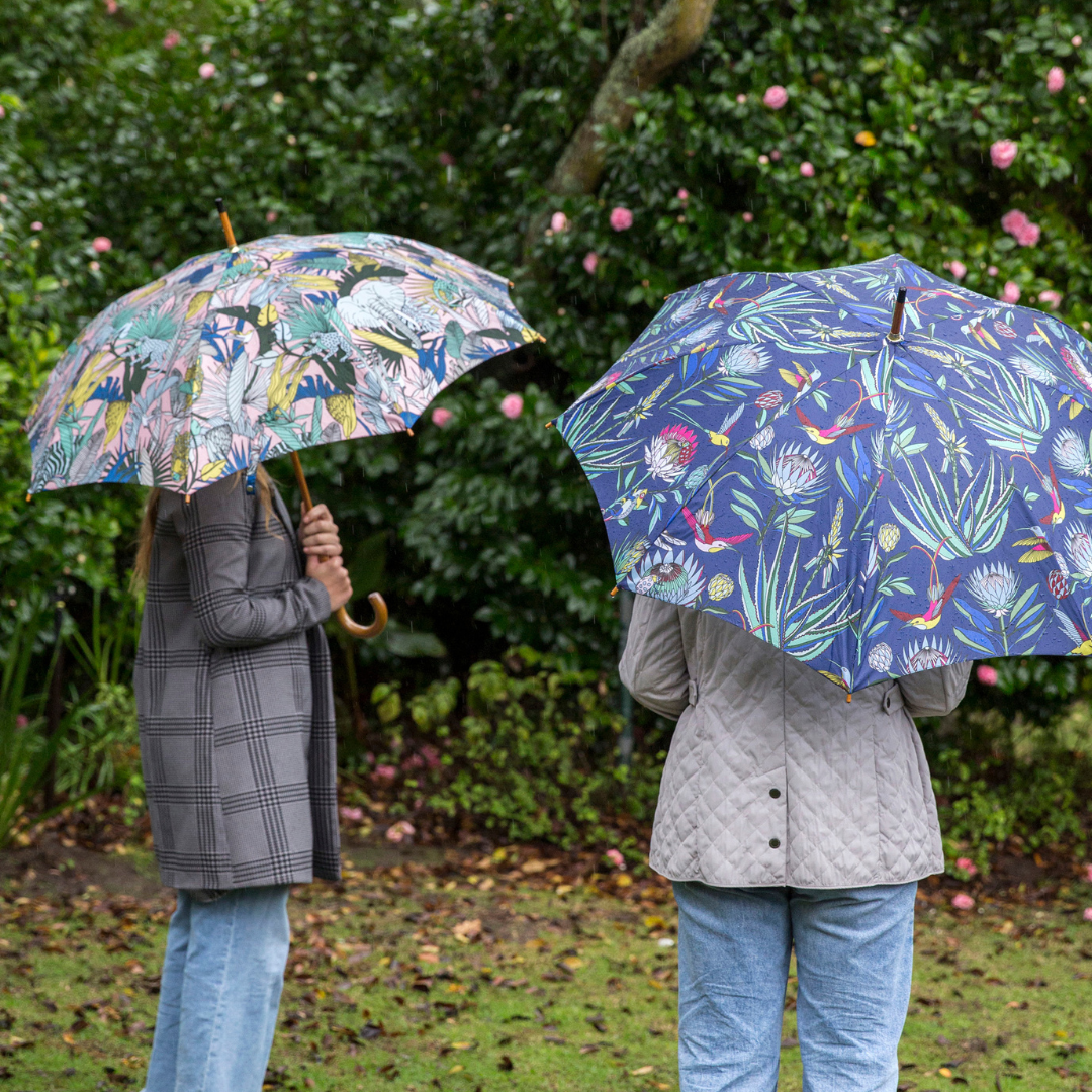 Umbrellas (Rain)
