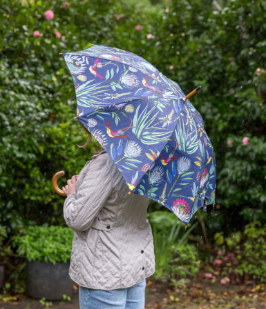 Umbrellas (Rain)