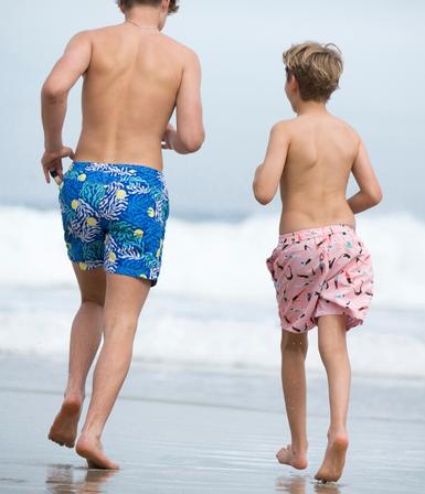 Board Shorts