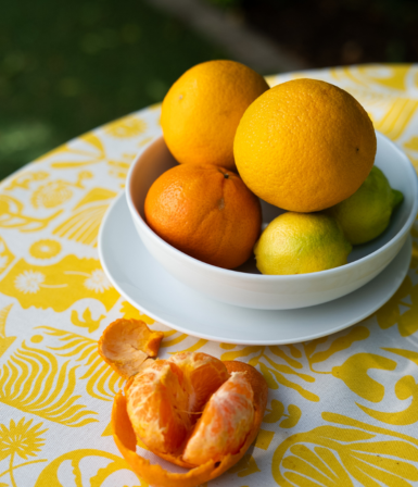 Table Cloths (Round)