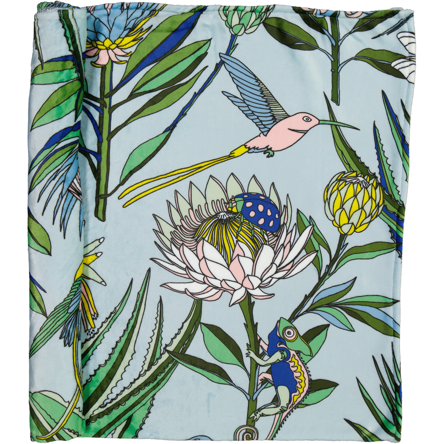Blankets (Small)