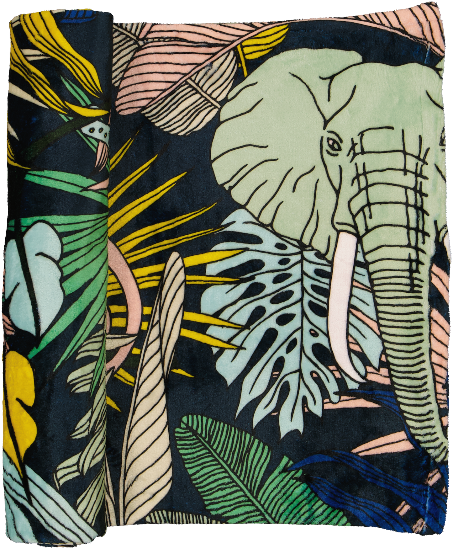 Blankets (Large)