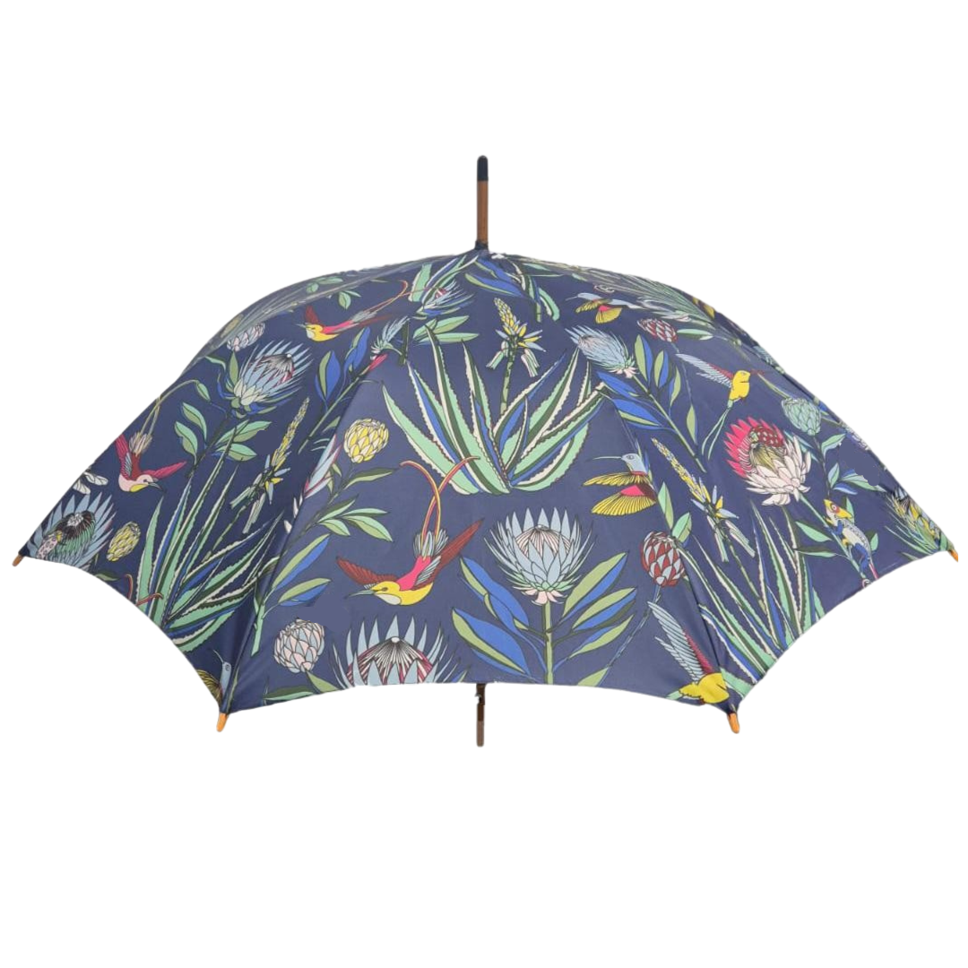 Umbrellas (Rain)